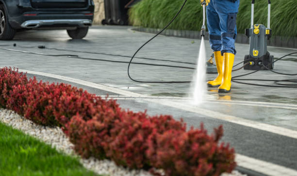 Best Sidewalk and Walkway Cleaning  in Richmond, TX
