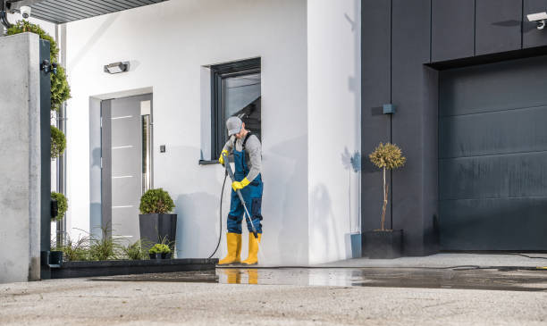 Best Pre-Holiday Cleaning  in Richmond, TX
